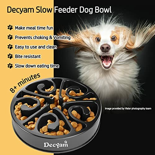 Decyam slow feeder dog bowl with happy dog in background.