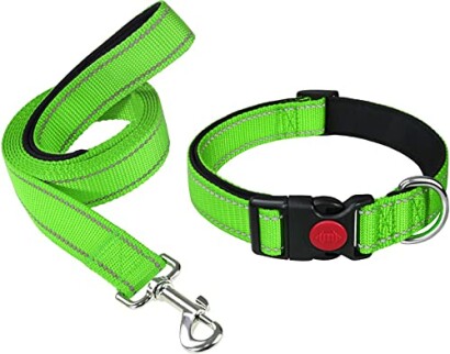 Hello Ibear 8"-12" Dog Collar Bundle