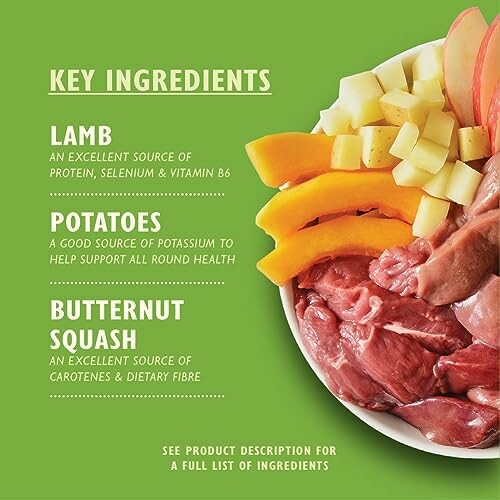 Key ingredients: lamb, potatoes, butternut squash on green background