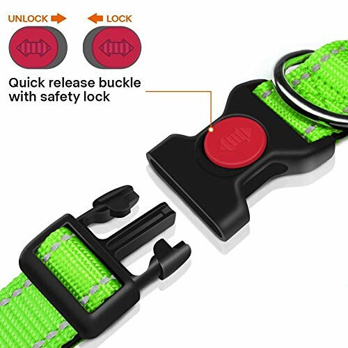 Green collar with quick release buckle and safety lock.